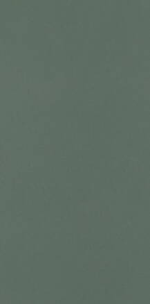 Paradyz NEVE CREATIVE DARK GREEN MAT 9,8X19,8 obklad