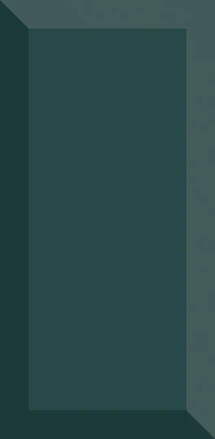 Paradyz TAMOE VERDE KAFEL 9,8X19,8 obklad