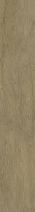 Classica WARMWOOD GOLD STRUKTURA MAT REKT. 19,8x119,8 dlažba
