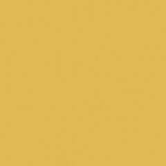 Rako Object COLOR ONE RAL 0858070 TMAVO-ŽLTÝ MAT 20x20 obklad WAA1N222