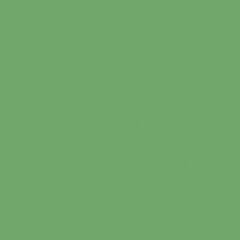 Rako Object COLOR ONE RAL 1306050 ZELENÝ LESK 20x20 obklad WAA1N456