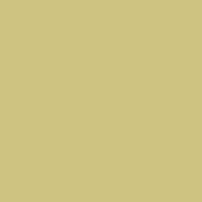 Rako Object COLOR ONE RAL 0908040 ŽLTÝ LESK 15x15 obklad WAA19200