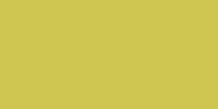 Rako Object COLOR ONE RAL 0958070 ŽLTO-ZELENÝ MAT 20x40 obklad WAAMB464