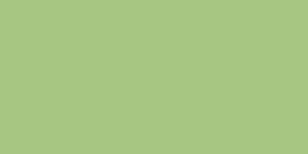 Rako Object COLOR ONE RAL 1208050 SVETLO-ZELENÝ MAT 20x40 obklad WAAMB465