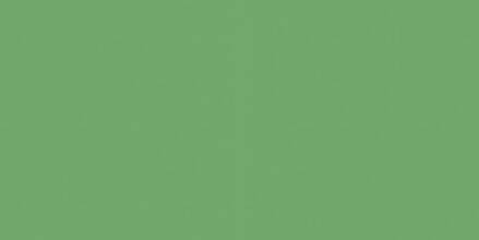 Rako Object COLOR ONE RAL 1306050 ZELENÝ MAT 20x40 obklad WAAMB466