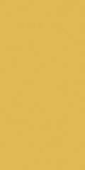 Rako Object COLOR TWO RAL 0858070 TMAVO-ŽLTÁ 10x20 dlažba GAAD8142