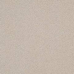 Rako Object TAURUS GRANIT 61 TUNIS 30x30 dlažba TRM34061