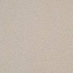 Rako Object TAURUS GRANIT 61 TUNIS 20x20 dlažba TRM25061