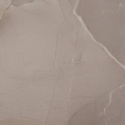 PASSION LUX 60 Taupe 60x60 (bal=1,08m2)