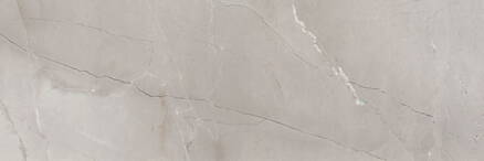 PASSION R90 Grey 30x90 (bal=1,08m2)