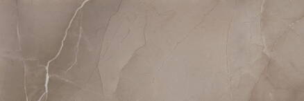 PASSION R90 Taupe 30x90 (bal=1,08m2)