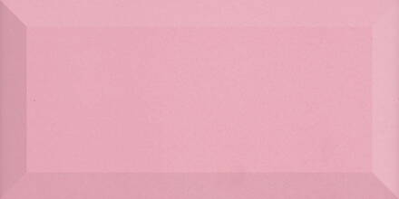 BISELADO BX ROSA PALO 10x20 (1bal=1m2)