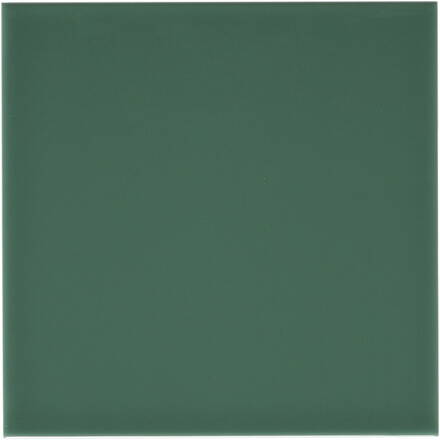 RIVIERA Liso Rimini Green 10x10 (bal=1,20m2)