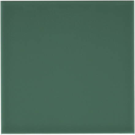 RIVIERA Liso Rimini Green 20x20 (bal=1,20m2)