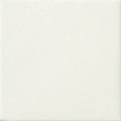 AMARCORD Bianco Matt 20x20 (bal.= 1 m2)