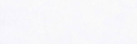 COLORLINE obklad Blanco 31,5x100 (bal=1,26m2)