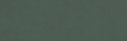 COLORLINE obklad Verde 31,5x100 (bal=1,26m2)