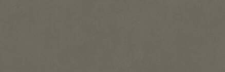 COLORLINE obklad Topo 31,5x100 (bal=1,26m2)