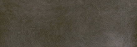 ZOO Marrón 20x60