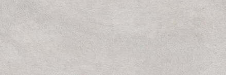 ZOO Gris 20x60