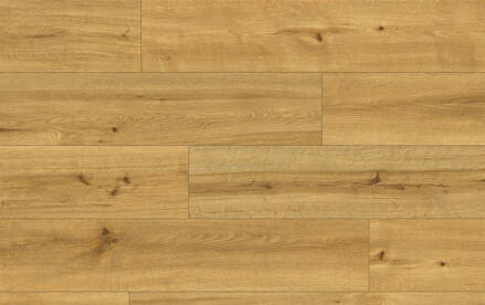 VZORKA CLASSEN PRO NATURE 62538 SOLEDAD