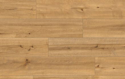 VZORKA CLASSEN PRO NATURE 62542 BELLO