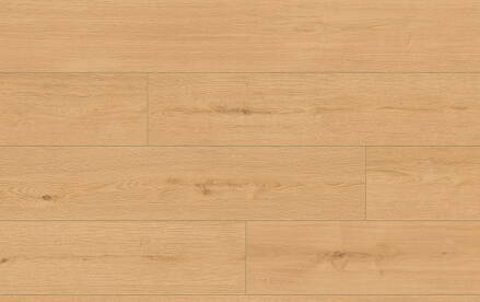 VZORKA CLASSEN PRO NATURE 64633 DUB IPOLA