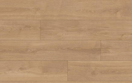 VZORKA CLASSEN PRO NATURE 64634 DUB POPRAD