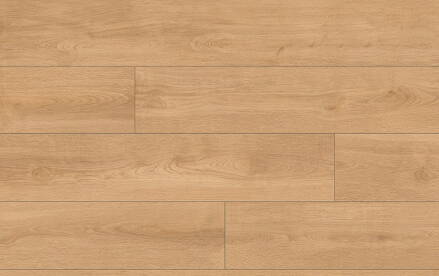 VZORKA CLASSEN PRO NATURE 64636 DUB KYSUCA