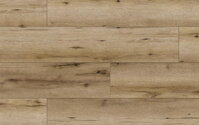 *ARTEO CLASSEN 8 narrow 49839 DUB TIKAL