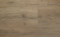 ACOUSTIC CLICK PLUS DUB VIGO