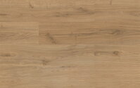 KASTAMONU SUN FS028 WHEAT OAK 8mm laminátová podlaha