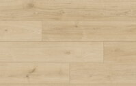 VZORKA TRADITION AQUA protect 4V 65120 DUB PISTOIA