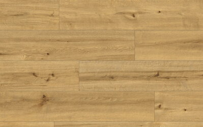 VZORKA CLASSEN PRO NATURE 62541 SOACHA