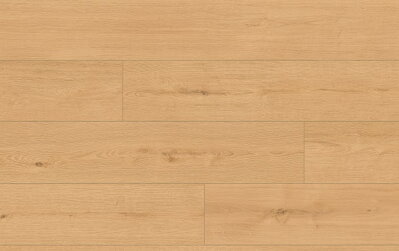 CLASSEN PRO NATURE 64633 DUB IPOLA