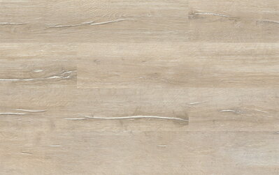 KASTAMONU CLASSIC FC081 GENOVA OAK 8mm laminátová podlaha