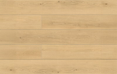 META DUB EUPHORIA 5+1 MM